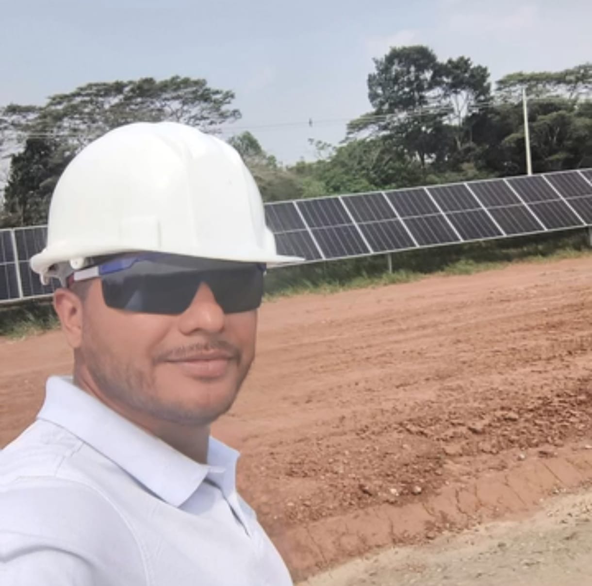 Software e integración tecnológica.